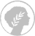 coin-image